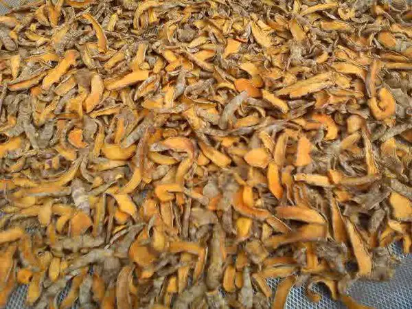 Dried Turmeric Picture"